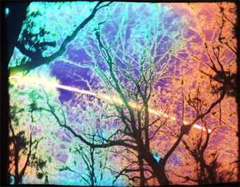 2013_Solargraphy